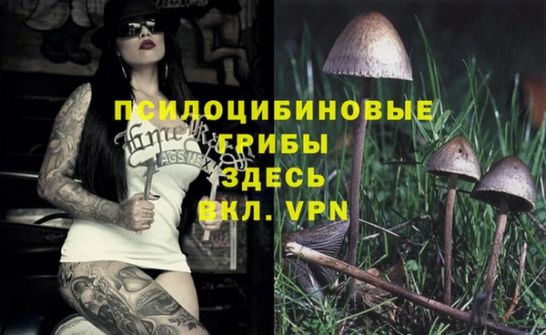 альфа пвп Козельск