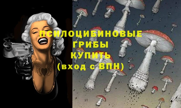 Альфа ПВП Кодинск